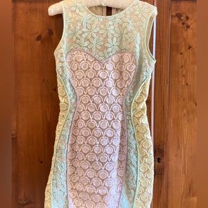 Embroidered body con pastel dress